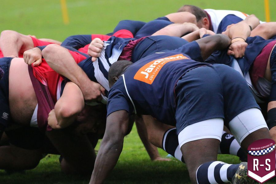 Rugby Scapulaire Une nouvelle règle en mêlée